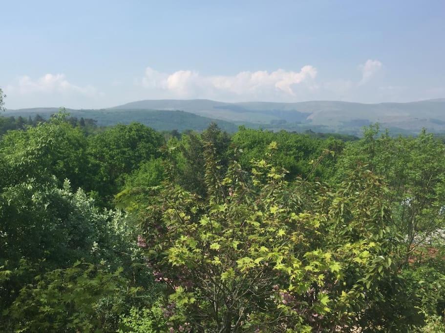 Stunning Views Of Ynyshir & Southern Snowdonia Machynlleth Exterior foto